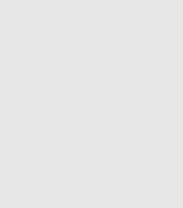 light grey bar