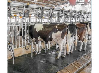 dairy chillers image, chilling milk, cows milk chillers, dairy farm, milking machines