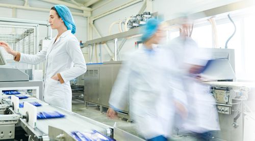 food processing chillers, food processing case study, temperature control for food processing, packaging food, automated food processing lines, regulatory standards