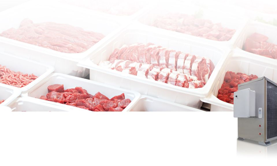food processing chillers, temperature control for food processing, packaging food, automated food processing lines, regulatory standards