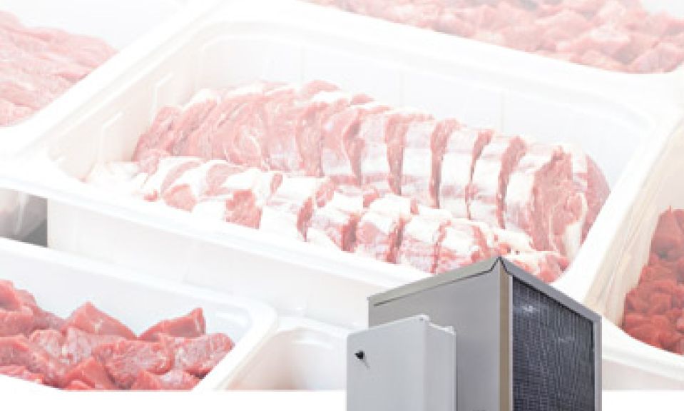food processing chillers, temperature control for food processing, packaging food, automated food processing lines, regulatory standards